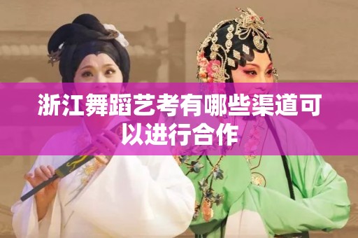 浙江舞蹈艺考有哪些渠道可以进行合作