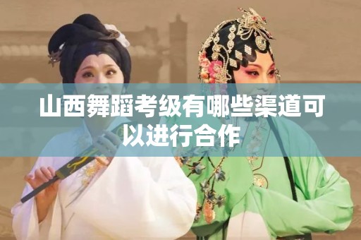 山西舞蹈考级有哪些渠道可以进行合作