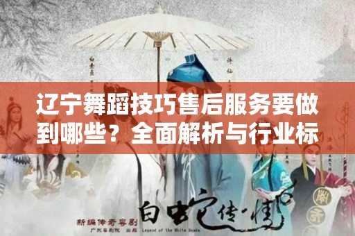 辽宁舞蹈技巧售后服务要做到哪些？全面解析与行业标准