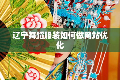 辽宁舞蹈服装如何做网站优化