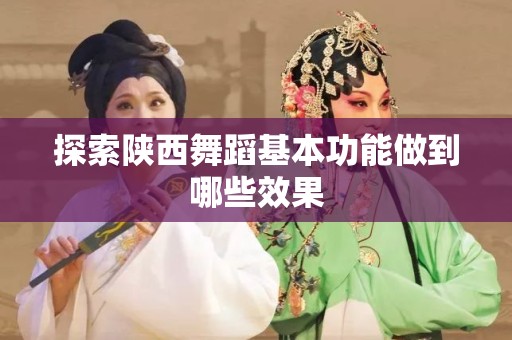 探索陕西舞蹈基本功能做到哪些效果