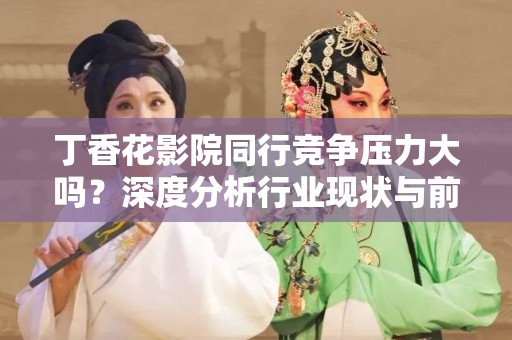 丁香花影院同行竞争压力大吗？深度分析行业现状与前景