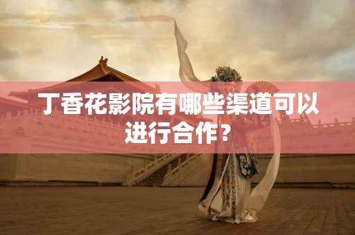 丁香花影院有哪些渠道可以进行合作？