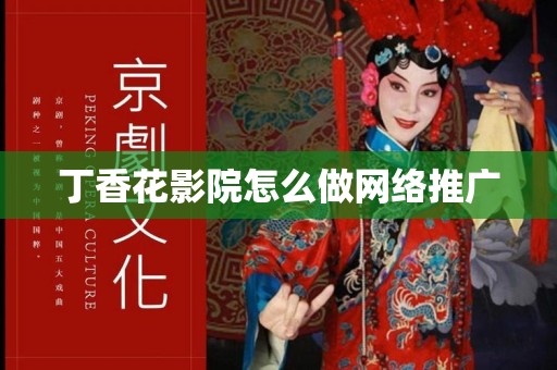 丁香花影院怎么做网络推广
