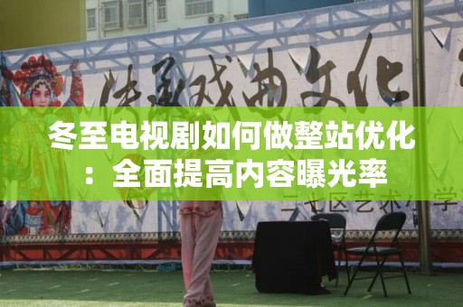 冬至电视剧如何做整站优化：全面提高内容曝光率