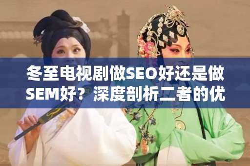 冬至电视剧做SEO好还是做SEM好？深度剖析二者的优劣