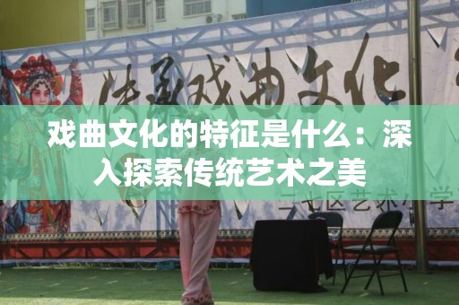 戏曲文化的特征是什么：深入探索传统艺术之美