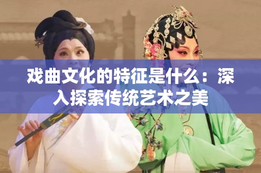 戏曲文化的特征是什么：深入探索传统艺术之美