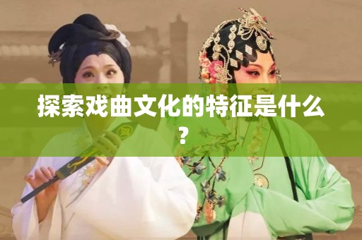 探索戏曲文化的特征是什么？