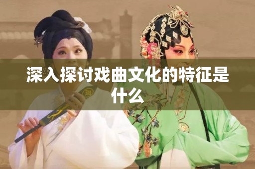 深入探讨戏曲文化的特征是什么